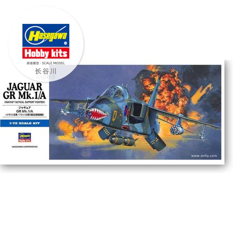 Vorgefertigtes Montagemodell H – Model Kit Hasegawa Bewertung und Preis
